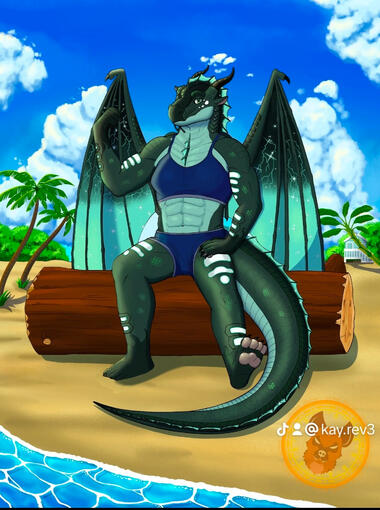 Comission for Visionreader